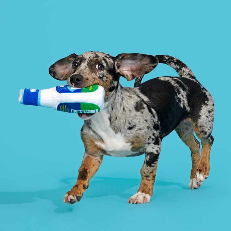 BARK dog toys Stinky Valley Ranch Bottle Plush Squeak Dog Toy
