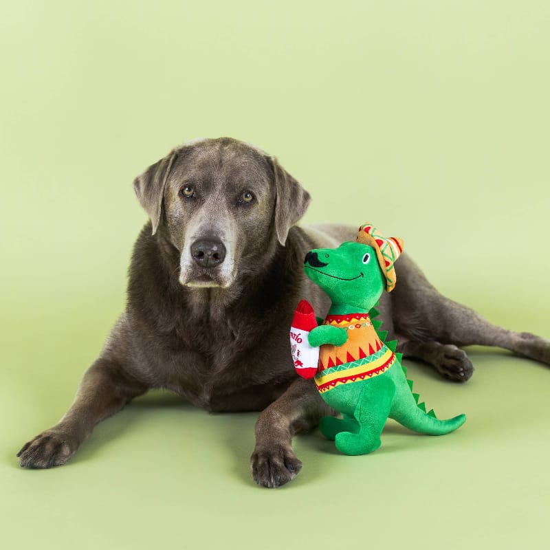 Petshop by Fringe Studio dog toys Fiesta Saurus Mustache Rex Plush Squeak Dog Toy