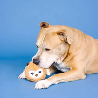 PetShop by Fringe Studio dog toys Don't Ruffle My Feathers Rubber & Plush Dog Toy