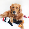 ZippyPaws dog toys Holiday Crinkle Penguin Large Dog Toy