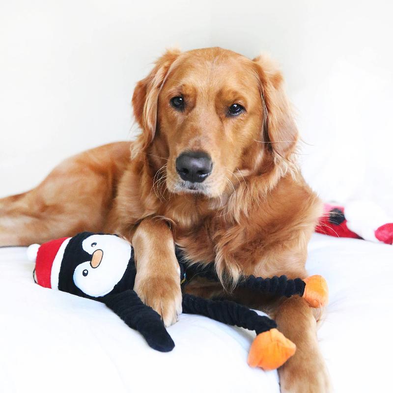 ZippyPaws dog toys Holiday Crinkle Penguin Large Dog Toy