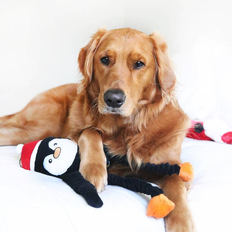 ZippyPaws dog toys Holiday Crinkle Penguin Large Dog Toy