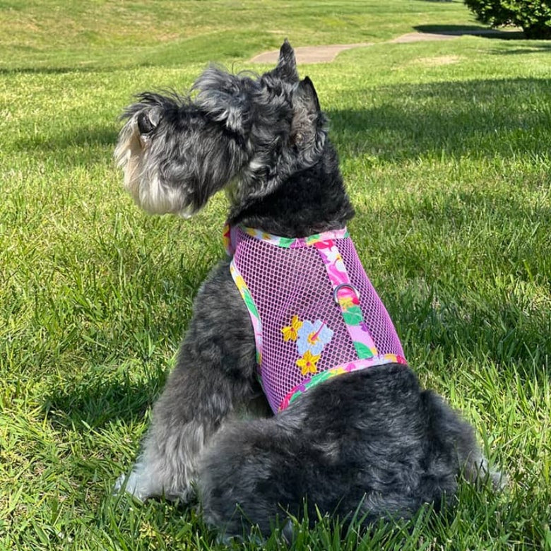 Doggie Design, Inc Harnesses XS Cool Mesh Dog Harness with Leash - Hawaiian Floral Pink
