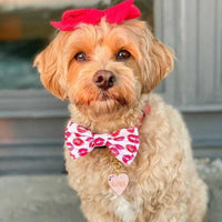 Huxley & Kent Bow Ties Red Kisses Love Bow Tie Pet Collar Attachment - 3 Sizes