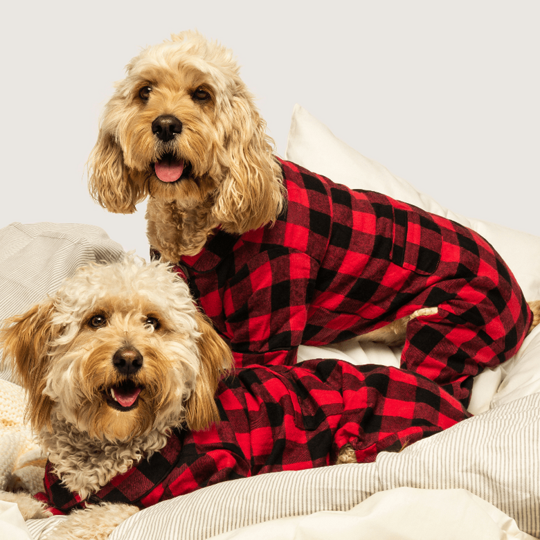 Buffalo Red Check Flannel Holiday Dog Pajamas