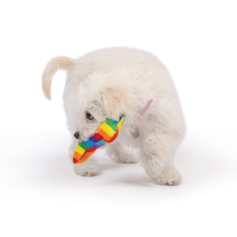 Huxley & Kent Dog Toys Tiny Tuff Equality Rainbow Plush Squeak Bone Dog Toy