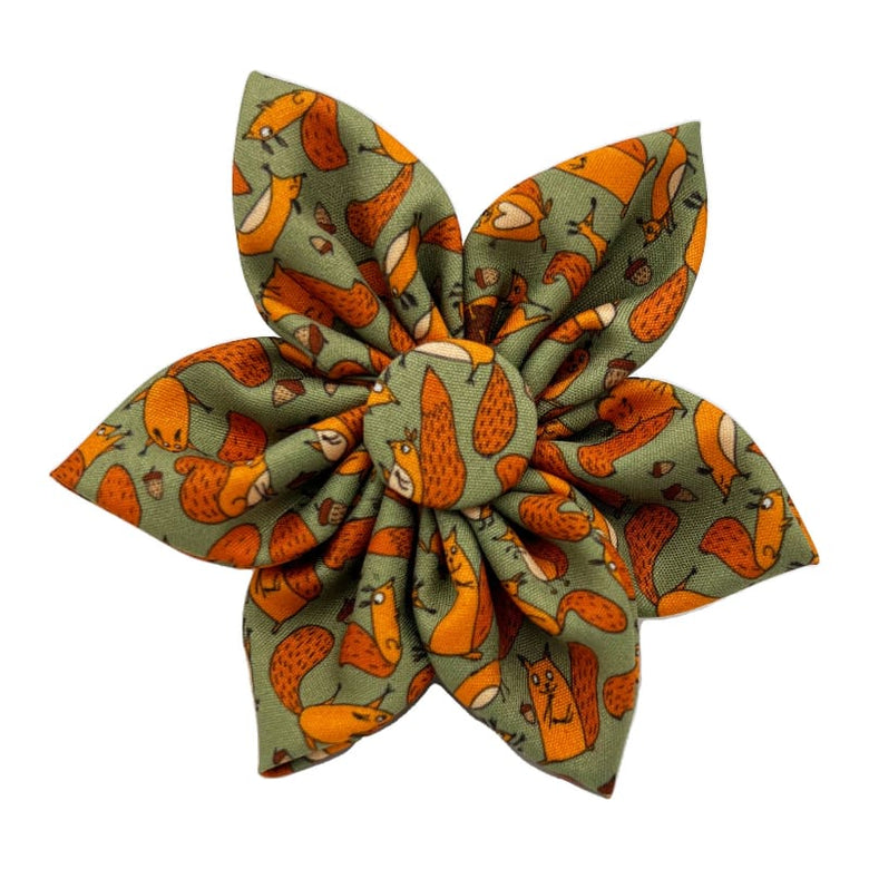 Huxley & Kent Bow Tie SM Silly Squirrels Pinwheel Pet Collar Attachment - 2 Sizes