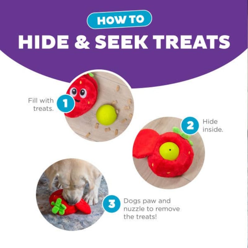 Outward Hound dog toys Fruity Findz Red Strawberry Interactive Ball Plush Dog Toy