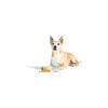 BARK dog toys Easter Harriet & Carrot Spring Plush Squeak Dog Toy Set - 2 Pc