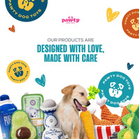 PAWTY Dog Toys dog toys Pawnuts Plush Colorful Donuts Interactive Plush Dog Toy Set - 4 Pc