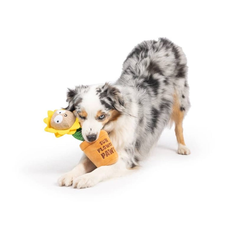 Huxley & Kent dog toys Seek 'n Treat Sunflower Pawt Plush Treat Interactive Dog Toy