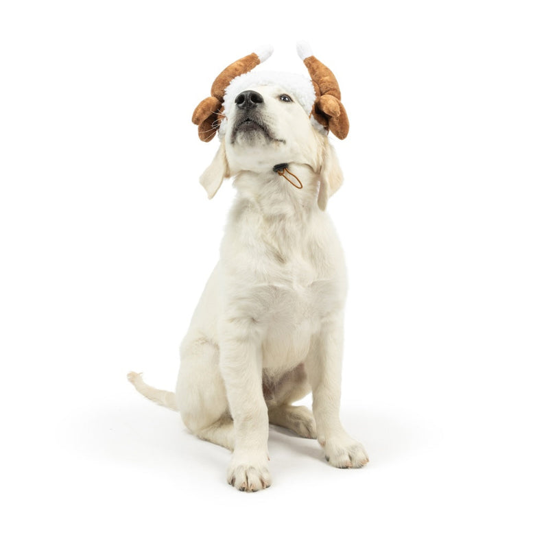 Turkey Tester Holiday Season Dog Hat