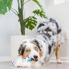 Huxley & Kent dog toys It's My Barkday Bone (Double Sided) For Dogs - 2 Sizes