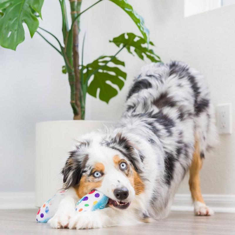 Huxley & Kent dog toys It's My Barkday Bone (Double Sided) For Dogs - 2 Sizes