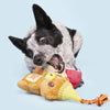 BARK That's My Jam, Honey Plush Dog Toy Set - 2 Pk