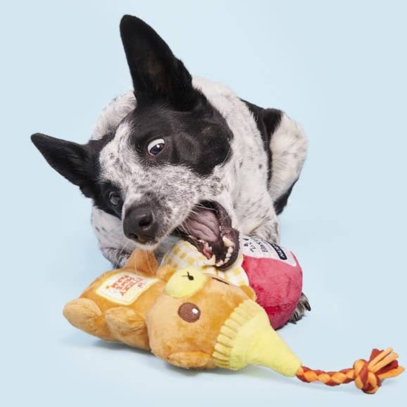 BARK That's My Jam, Honey Plush Dog Toy Set - 2 Pk