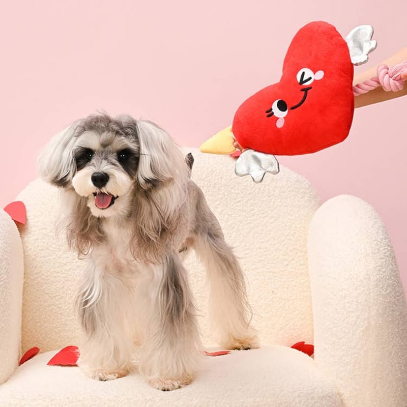 Hugsmart Products Inc dog toys Woof Love Heart & Arrow Rope Plush Squeak Dog Toy
