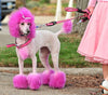 Warren London Spa Product Canine Color Semi Perm Coat Color Shampoo for Dogs