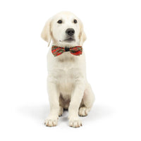 Shiny Christmas Holiday Red Plaid Bow Tie Pet Collar Attachment - 2 Sizes