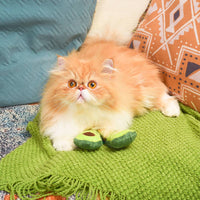 Hugsmart Products Inc Cat Toys Crazy Catcher Avocado Cat Toy Set - 2 Pc