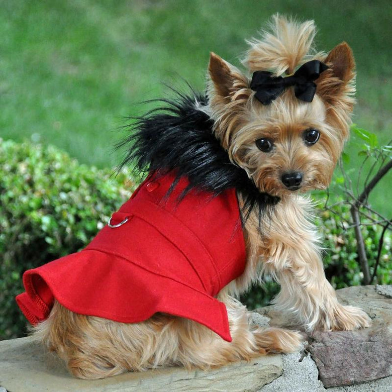Doggie Design, Inc. Jackets-Coats Wool Blend Red Faux Fur Collar Classic Dog Harness Coat with matching Leash