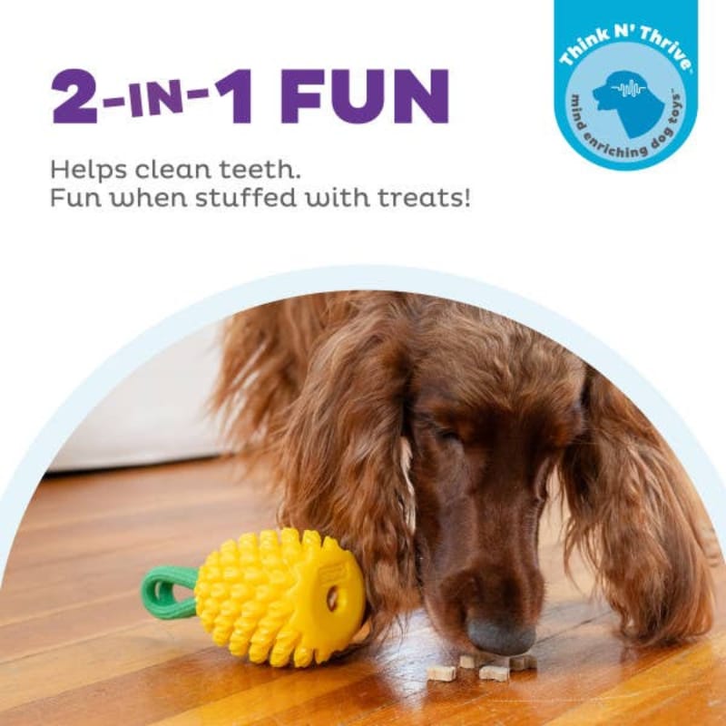 Outward Hound dog toys Dental Yellow Pineapple Interactive Rope Tug and Treat Dog Chew Toy