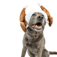 Turkey Tester Holiday Season Dog Hat