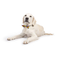 Huxley & Kent Huxley & Kent - All Together Bow Tie: Small