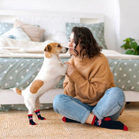 Extreme Fit Wholesale Pet Socks Map USA Matching Pet & Owner Fun Socks - One Size Fits Most