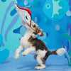 BARK dog toys Sting Crosby the Ray Red Plush Squeaky Rope Dog Toy