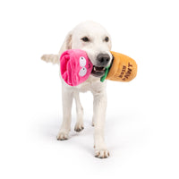 Huxley & Kent Huxley & Kent - Seek 'n Treat Rosie Pawt Dog Toy: Small