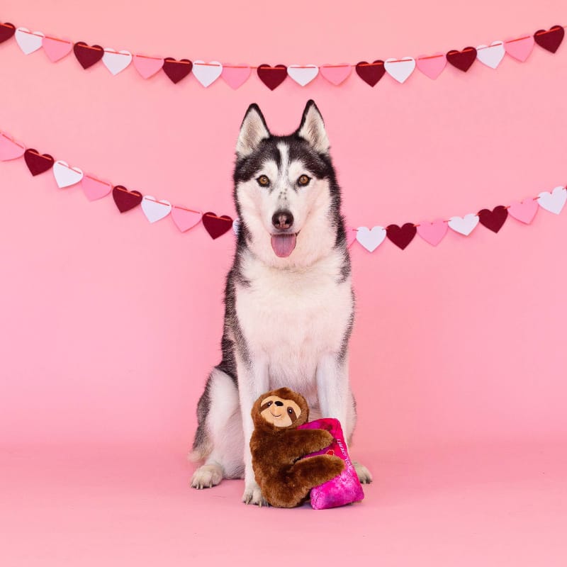 Petshop by Fringe Studio dog toys I Heart You! You've Got Sloth Plush Squeak Dog Toy