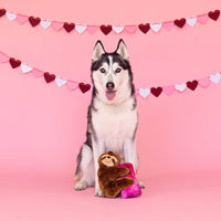 Petshop by Fringe Studio dog toys I Heart You! You've Got Sloth Plush Squeak Dog Toy