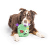 Zombie Pop 'n Fetch Pop-Eye Spooky Halloween Plush Squeaky Dog Toy