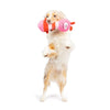 Huxley & Kent dog toys Fetchies Love Bug Plush Dog Toy