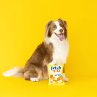 Wagsdale dog toys Fetch Mix Plush Dog Toy