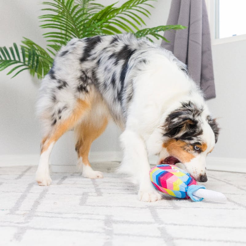 Huxley & Kent dog toys I'm Sweet Lollipop Plush Squeak Dog Toy - 2 Sizes