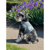 Doggie Design Harnesses Cool Mesh Dog Harness with Leash - Baby Blue Daisy
