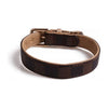 BARK by DOG Collars S Amalfi Pet Collar