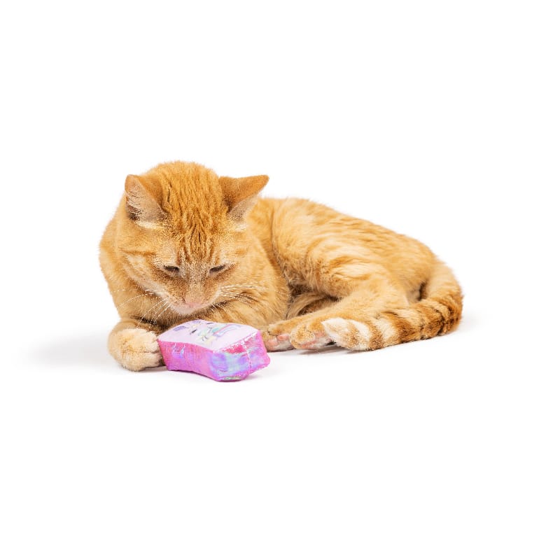 Huxley & Kent Cat Toys Hoppy Easter Cat Toy Set - 2 Pc