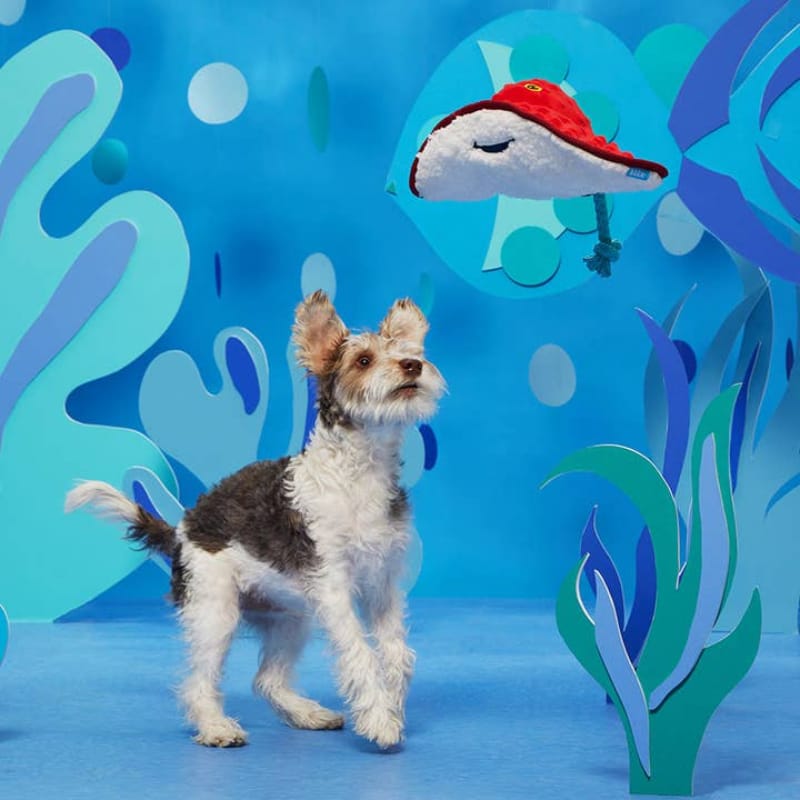 BARK dog toys Sting Crosby the Ray Red Plush Squeaky Rope Dog Toy