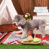 Hugsmart Products Inc dog toys Puppy Grow A Garden Sniffle Veggies Interactive Plush Dog Toy Set - 3 Pc