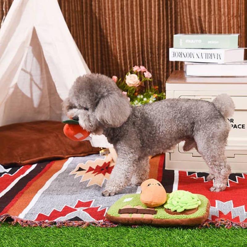 Hugsmart Products Inc dog toys Puppy Grow A Garden Sniffle Veggies Interactive Plush Dog Toy Set - 3 Pc