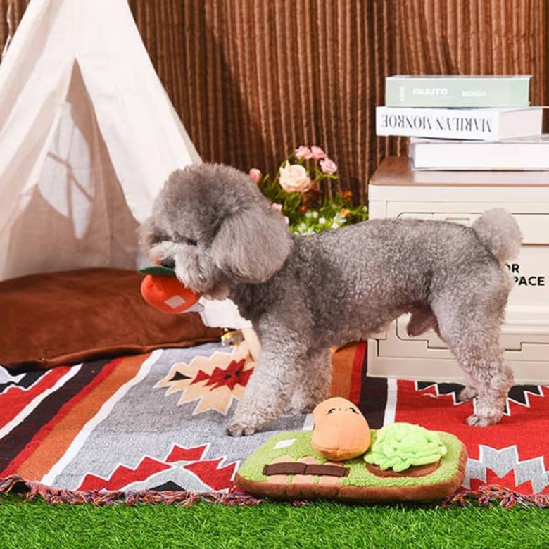 Hugsmart Products Inc dog toys Puppy Grow A Garden Sniffle Veggies Interactive Plush Dog Toy Set - 3 Pc