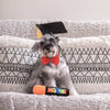 Hugsmart Products Inc Dog Toys Pooch Academy Marker Pen Plush Squeaky Dog Toy