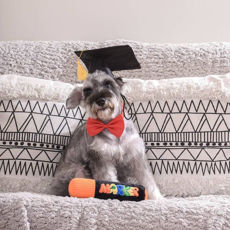 Hugsmart Products Inc Dog Toys Pooch Academy Marker Pen Plush Squeaky Dog Toy