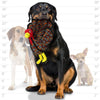 Tuffy Dog Toys - VIP Products dog toys Tuffy Barnyard Turkey Durable Tough Squeaky Dog Toy - Large