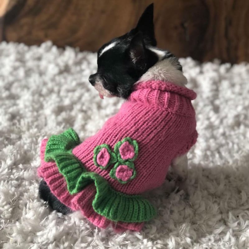 Dallas Dogs, Ltd Sweaters Girlie Girl Pink and Green Flowers Cozy Dog Sweater Dress