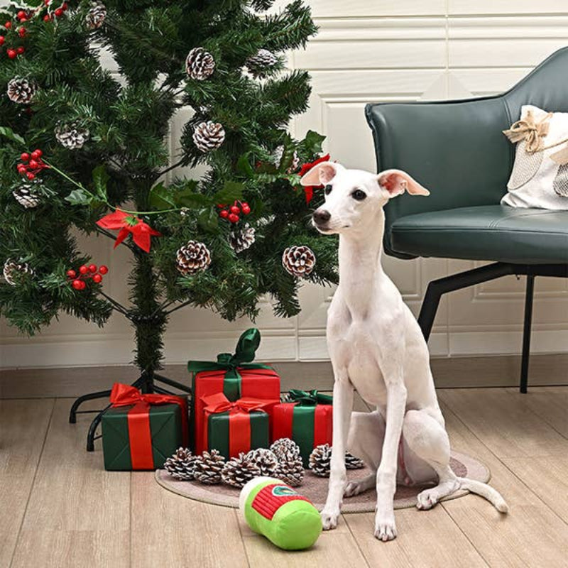 Hugsmart Products Inc Hugsmart Products Inc - HugSmart Pet - Happy Woofmas | Elf Coffee