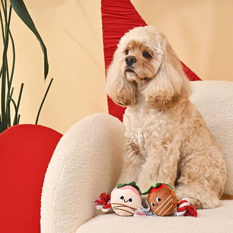Hugsmart Products Inc Dog Toys Woof Love Sweet ChocoBerries Plush Squeak Rope Dog Toy